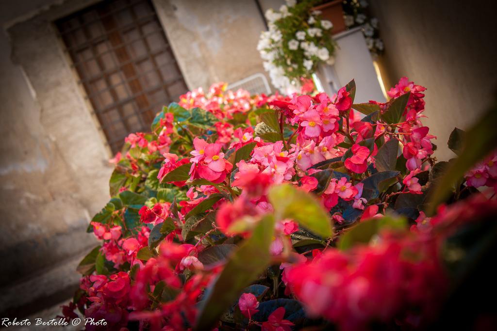Torre Della Botonta Bed and Breakfast Castel Ritaldi Buitenkant foto
